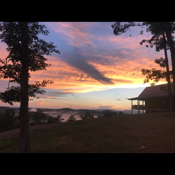 Meet your Posher, Amber - Picture 1 of 1